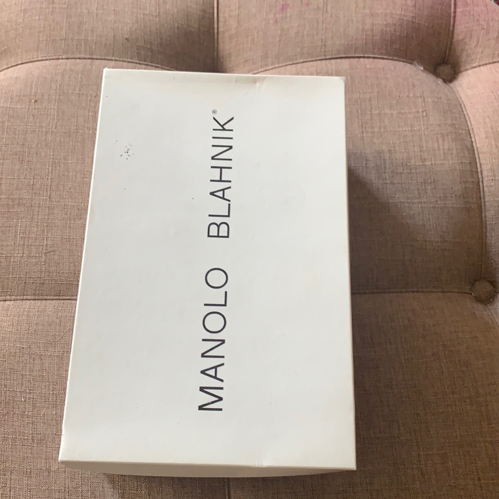 Manolo Blahnik stewpot shoes